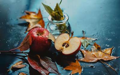 20 still life photography by dina belenko